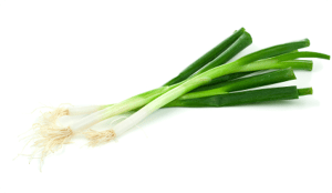 greenonion